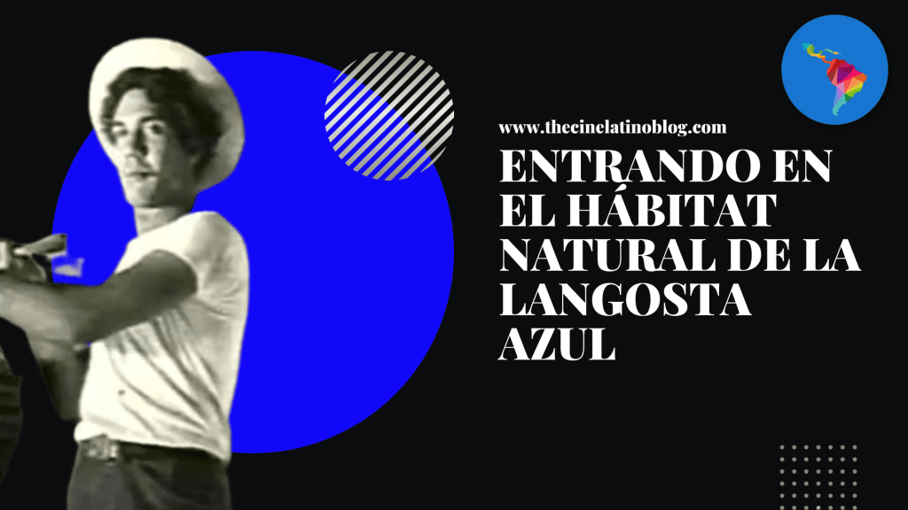 Entrando en el Hábitat Natural de La Langosta&nbsp;Azul